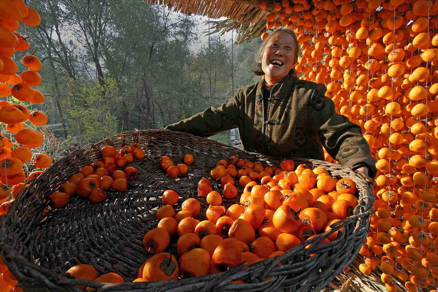 世界精神卫生日：10月10日